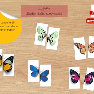 Può includere: PDF educativo con esercizi di simmetria delle farfalle. L'immagine mostra illustrazioni di farfalle, divise a metà, su rettangoli bianchi. Il testo in italiano recita "Farfalle Studio delle simmetrie" e "Il file contiene 15 farfalle e un cartellone con tutte le farfalle."