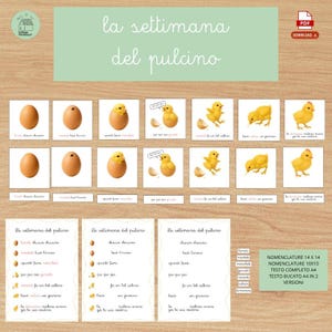 Può includere: Schede didattiche Montessori in italiano che illustrano il ciclo vitale di un pulcino, dall'uovo alla schiusa. Include immagini di uova, pulcini e didascalie testuali. Il titolo "La settimana del pulcino" è ben visibile.