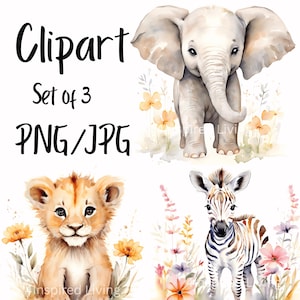 Watercolor Zoo Animals Clipart, Cute Woodland Creature PNG&#39;s, Nursery Clipart Set, Safari Sublimation Design File, Nursery Decor download