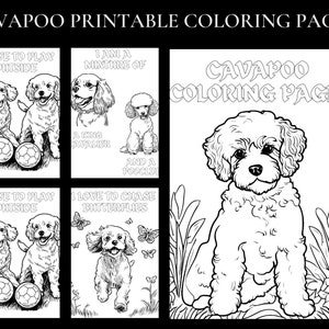 Printable Cavapoo Coloring Book; Printable Cavapoo Coloring Pages ...