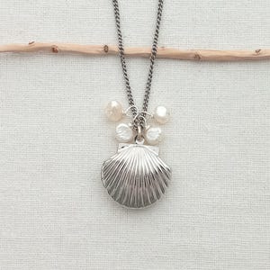 Collier médaillon coquillage argenté, perle d'eau douce, message secret + cadeau