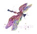 DRAGONFLY Art, dragonfly painting, UK 