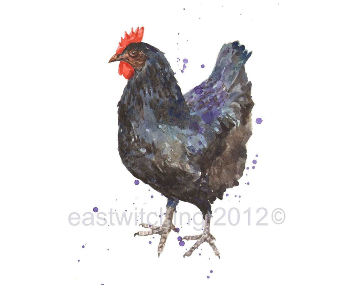 Black Chicken Print Rustic Kitchen Art Etsy