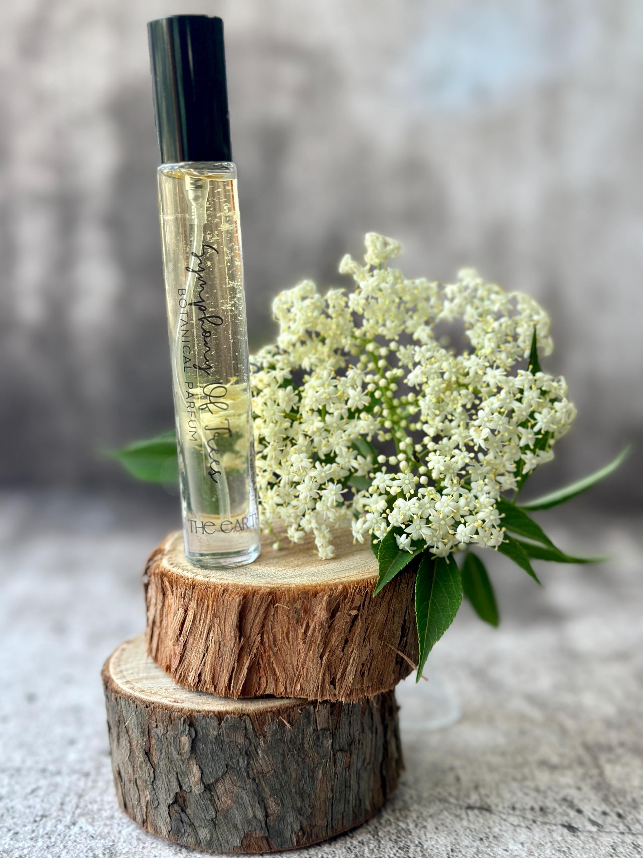 Natural Perfume - SYMPHONY OF TREES - Parfum Extrait - Plant