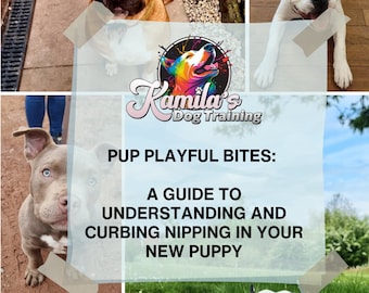 Pup Playful Bites: A Guide to Understanding and Curbing Nipping