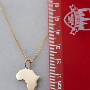 10K Gold Africa Diamond image 4