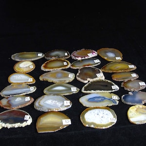 May include: Twenty-four agate slices, each with a unique pattern of brown, white, and gray banding. The slices are arranged in rows, numbered 1 through 24.