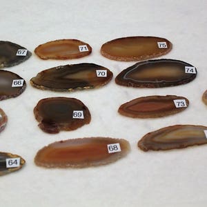 May include: A collection of 12 agate slices, each with unique brown, white, and gray banding patterns. The slices are numbered 64 through 76.