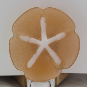 Casted fused Glass Sand-Dollar Nightlight in Light-Pink/white, Gift Idea