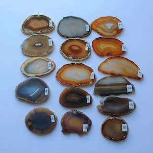 May include: A collection of sixteen agate slices, each with unique patterns and colors. The slices vary in shape and size, showcasing a range of earthy tones including browns, oranges, and creams. Each slice is numbered with a small white label.