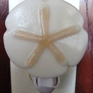Fused Glass Sand-Dollar Nightlight, Sea Shell Night Light, Child&#39;s Room Night light, Bathroom Night Light, Bedroom Light, Shell Light, Gift