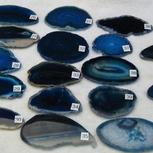 May include: A collection of 16 blue agate slices, each with a unique pattern and numbered 26 through 42.