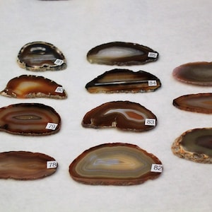 May include: Ten agate slices, each with a unique pattern of brown, white, and gray bands. The slices are arranged in two rows on a white surface. Each slice is labeled with a number from 78 to 88.