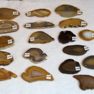 May include: A collection of 18 agate slices, each with unique patterns and colors, ranging from light brown to dark brown. The slices are labeled with numbers from n25 to n42.