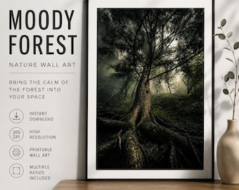 Muurkunst humeurig bos | Fotografie van oude bomen | Afdrukbaar natuurdecor | Bosprint | Digitale download | Fine-artfotografie