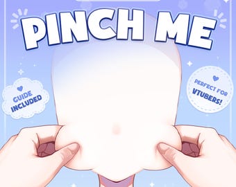 Rigged Vtuber Asset - Pinch me | Meme