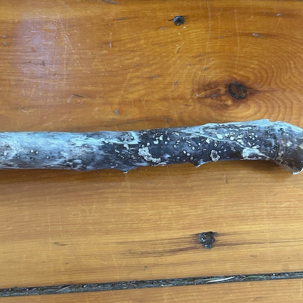 Gorgeous straight, clean driftwood stick branch with great patina 28 inches long and 1.25 inches wide