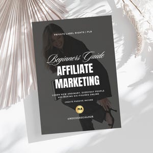 Livre numérique DPP | Guide du marketing d'affiliation | Marketing numérique | d'aimant en plomb DFY | Droits de label privé | Produit numérique DPP | Monsieur