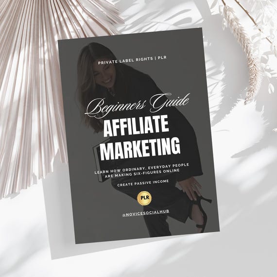 Affiliate Marketing Guide | PLR Ebook | Digital Marketing | DFY Digital Product | Lead Magnet Template | PLR Rights | Small Business Tools