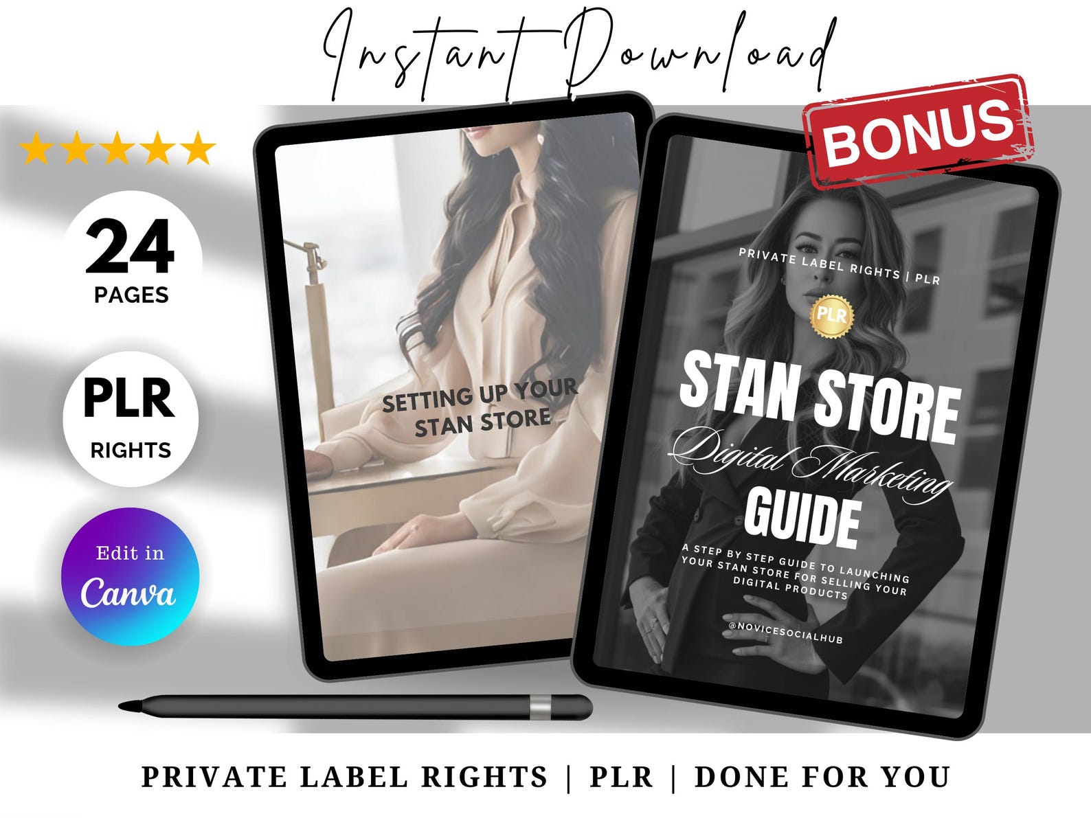 Stan Store Ebook Example Stan Store Template, Digital Marketing Guide, DFY Digital Marketing ...