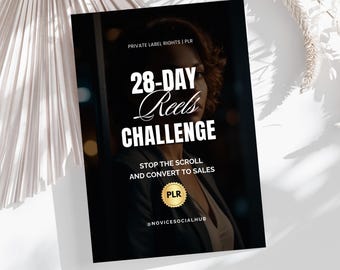 Digital Marketing Lead Magnet | PLR Ebook | Instagram Reels Guide | Digital Marketing | DFY Digital Product | Small Business Tool