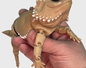 Articulated Bearded Dragon - Flexible Bearded Dragon