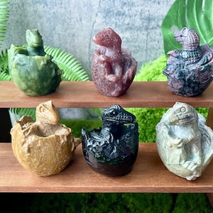 Natural Crystal Dinosaur Meditation Figurines, Handcrafted Healing Crystal Sculptures for Spiritual Home Decor, Crystal Collection Display