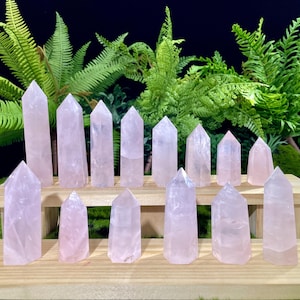 Può includere: Una collezione di 15 punte di cristallo di quarzo rosa disposte in file su uno scaffale di legno. Le punte sono di varie dimensioni e forme, con un colore rosa pallido.
