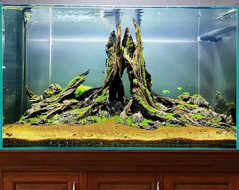 Aquarium stump driftwood holes cave aquascape betta fish hideout decorations