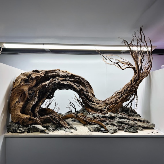 Camiesy Naturale Driftwood Rami Rettili Acquario Pesci Serbatoio