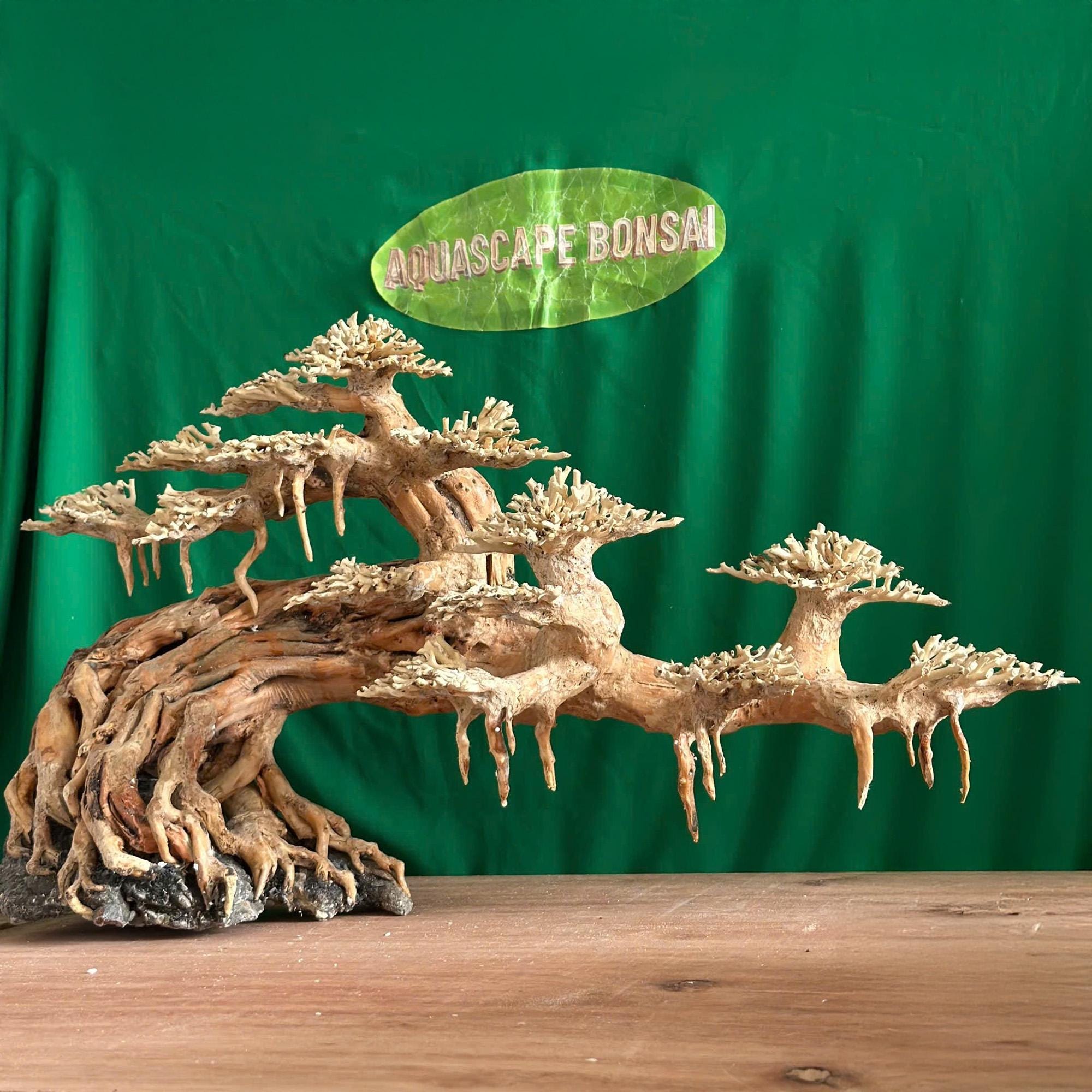 盆栽 水槽 流木 岩 ベース アクアスケープ 水槽 装飾 流木 天然 - Etsy