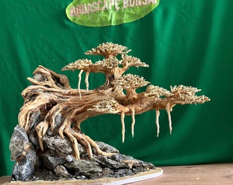 流木盆栽水槽水景樹木植物盆栽木風景水槽装飾 - Etsy 日本