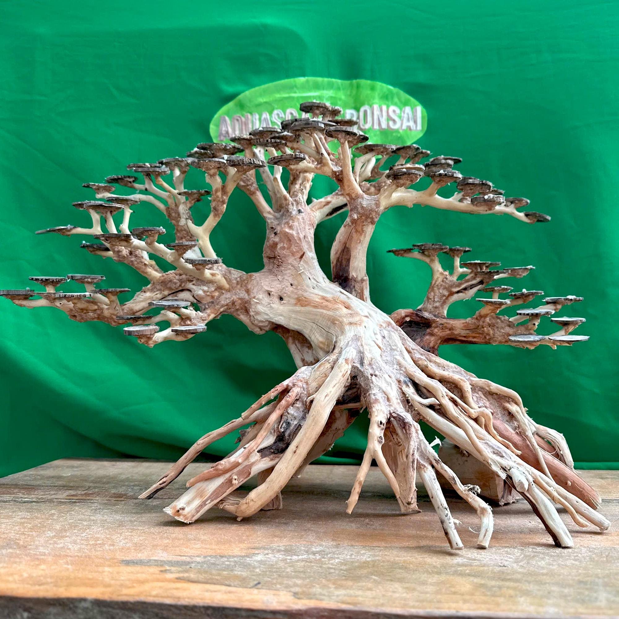 アクアスケープ盆栽流木水槽樹木植物アクアスケープセンターピース流木