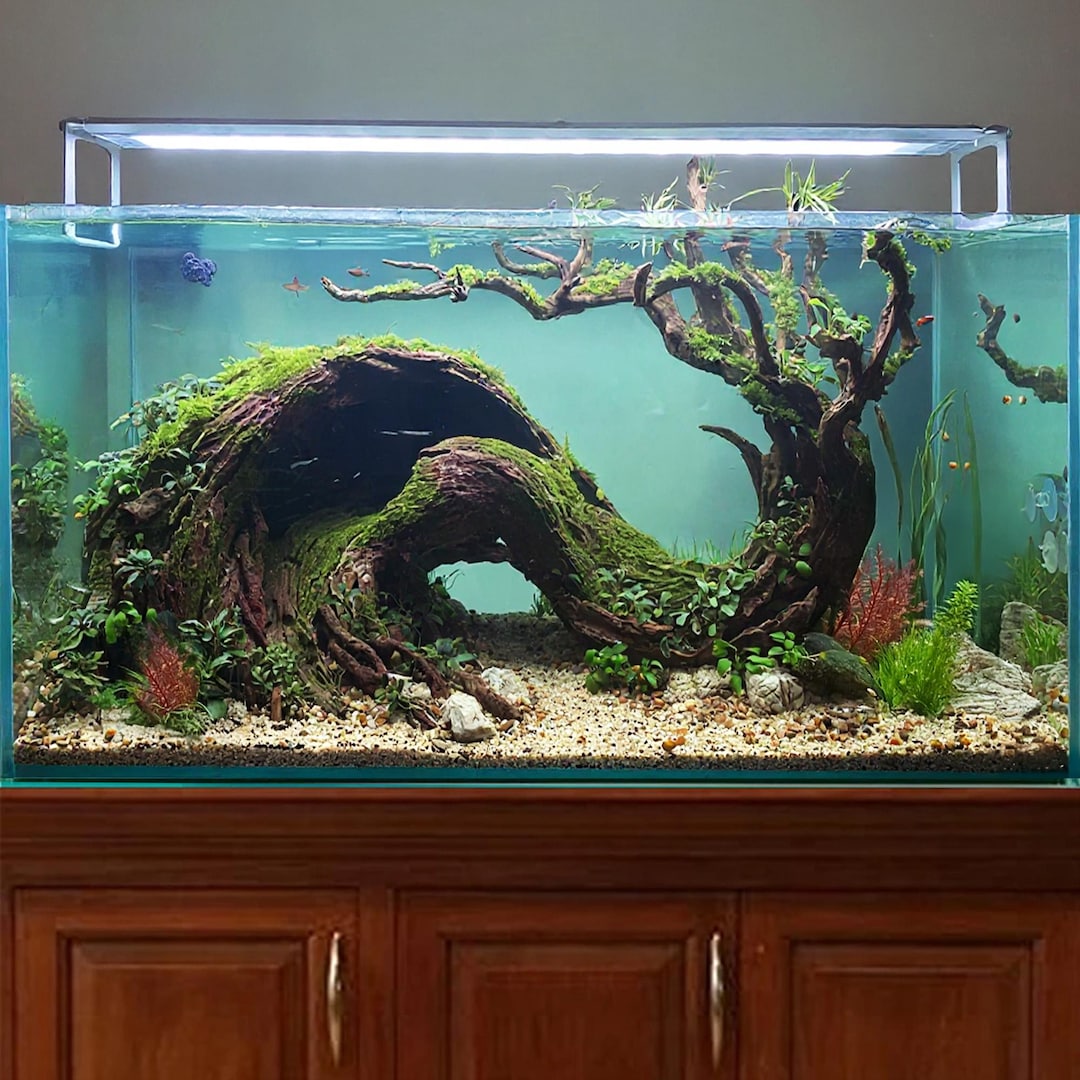 Natural Driftwood Hardscape Aquascape Aquarium Bonsai Cave Aquascaping ...
