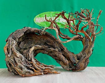 天然流木を使ったレイアウト、アクアリウム、盆栽風の洞窟、アクア