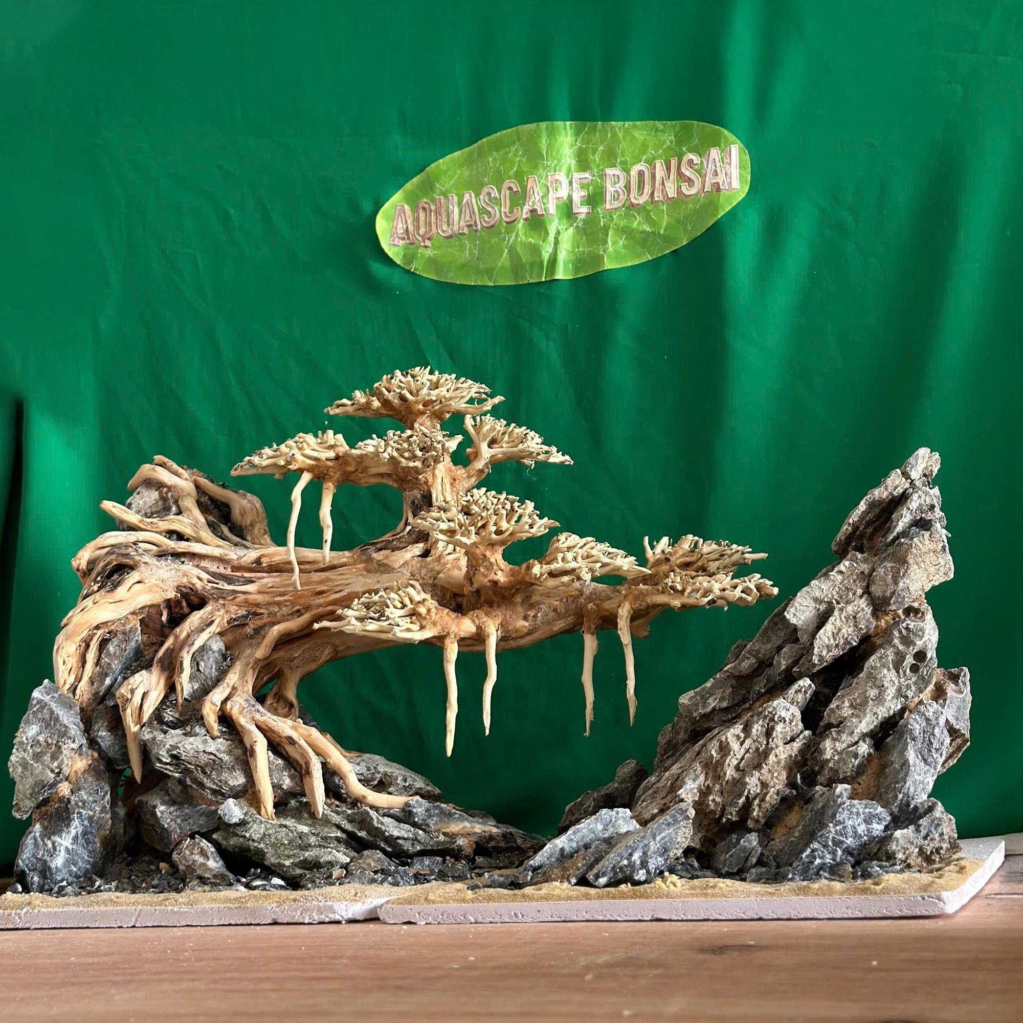 流木盆栽水槽アクアスケープ樹木植物盆栽樹木景観魚水槽装飾 - Etsy 日本