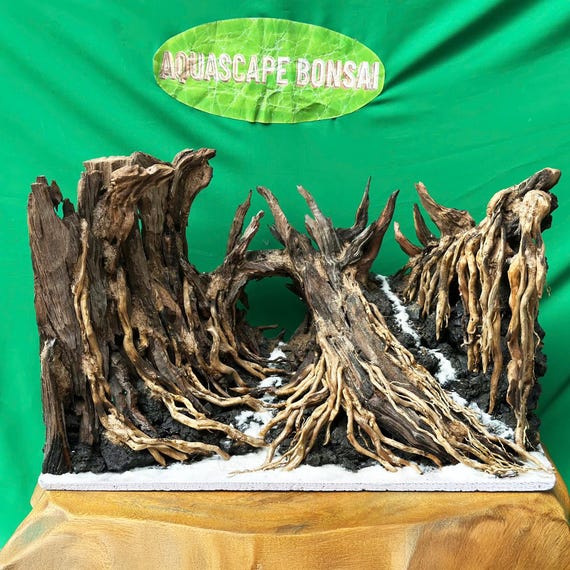 Driftwood for Hiding Fish: Ultimate Natural Aquarium Shelter Guide
