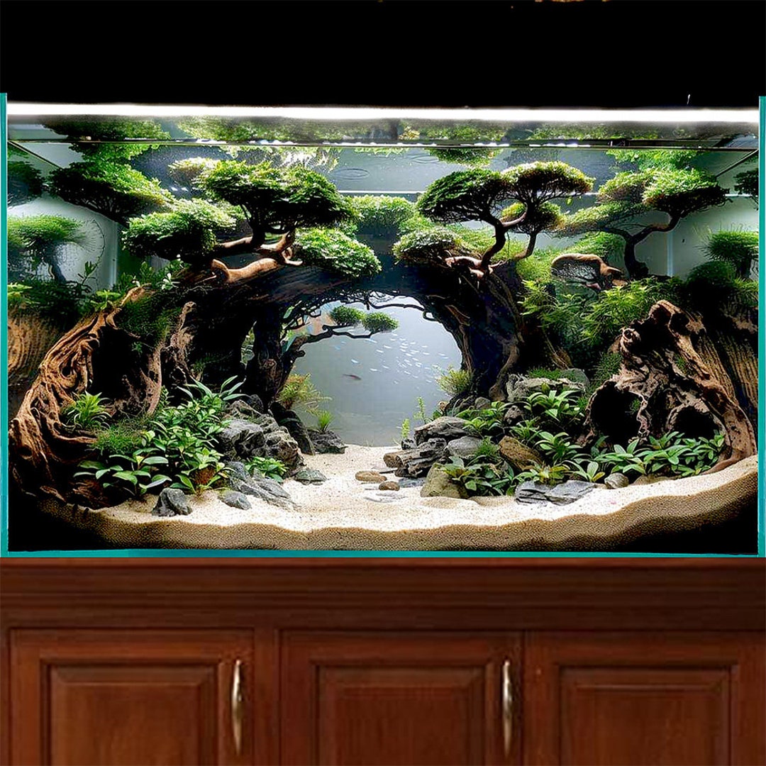 Live Fish For Aquarium Aquarium Driftwood Arch Bonsai Tree