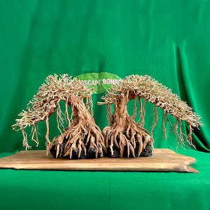Aquascaping driftwood bonsai tree aquarium tree plant lava rock aquascape fish tank decoration
