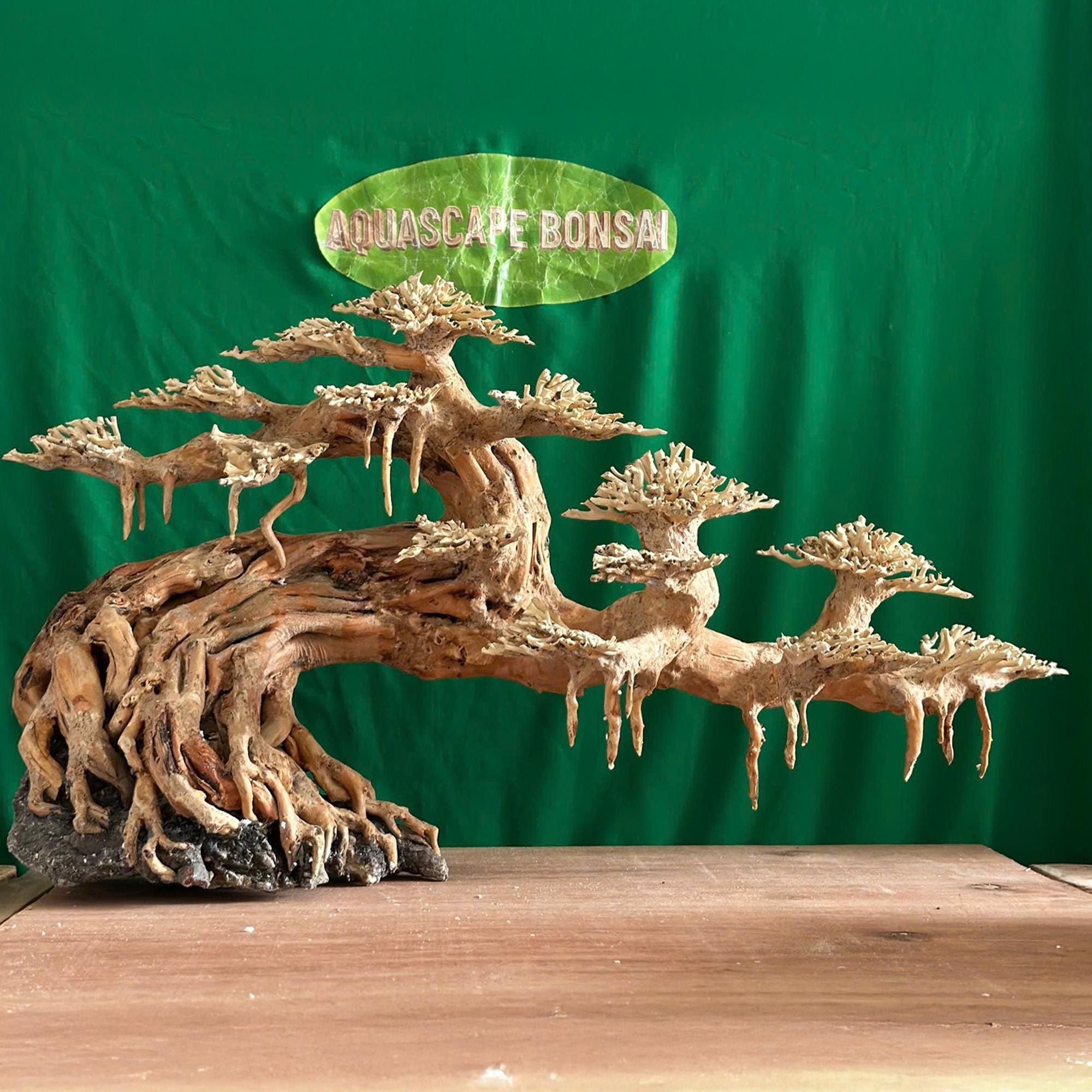 盆栽 水槽 流木 岩 ベース アクアスケープ 水槽 装飾 流木 天然 - Etsy