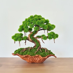 Preserved moss bonsai driftwood real tree artificial bonsai tree for coffee table decor