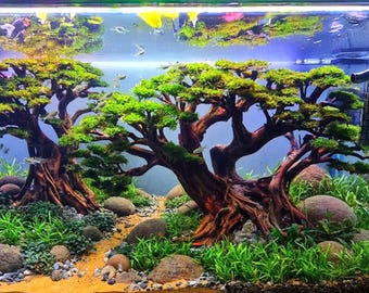 アクアスケープ盆栽流木水槽樹木植物アクアスケープセンター