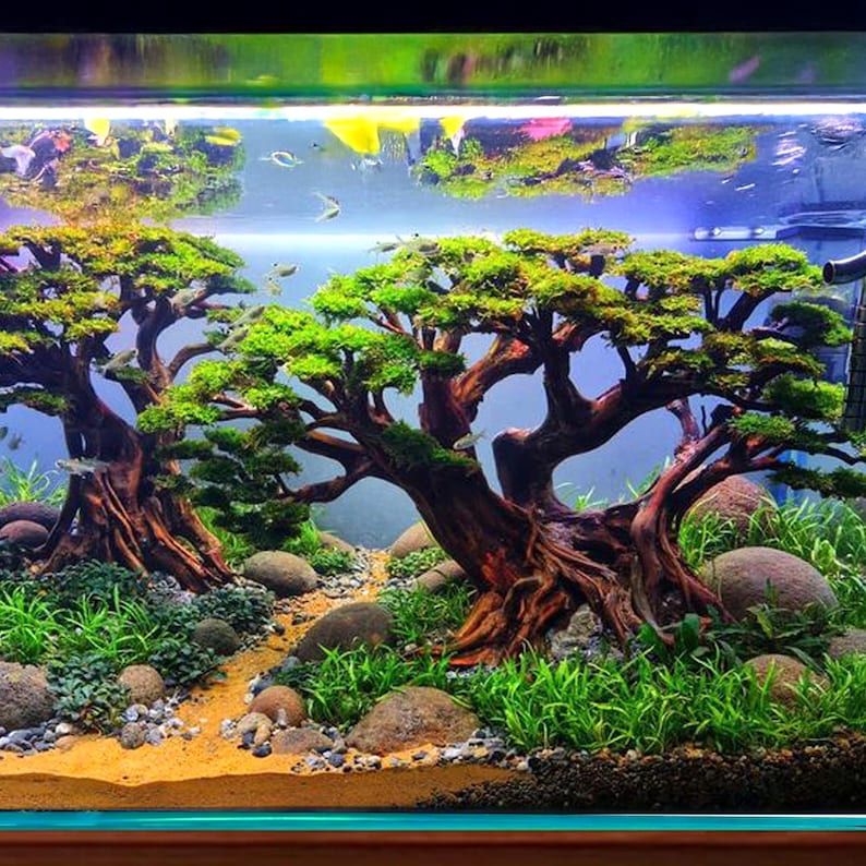 Aquascape Bonsai Driftwood Aquarium Tree Plant Aquascaping Centerpiece ...