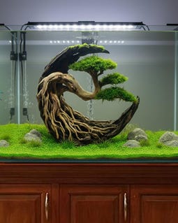 水槽用流木 大きめ 立体的な樹木 大型 水槽 流木」の人気商品一覧