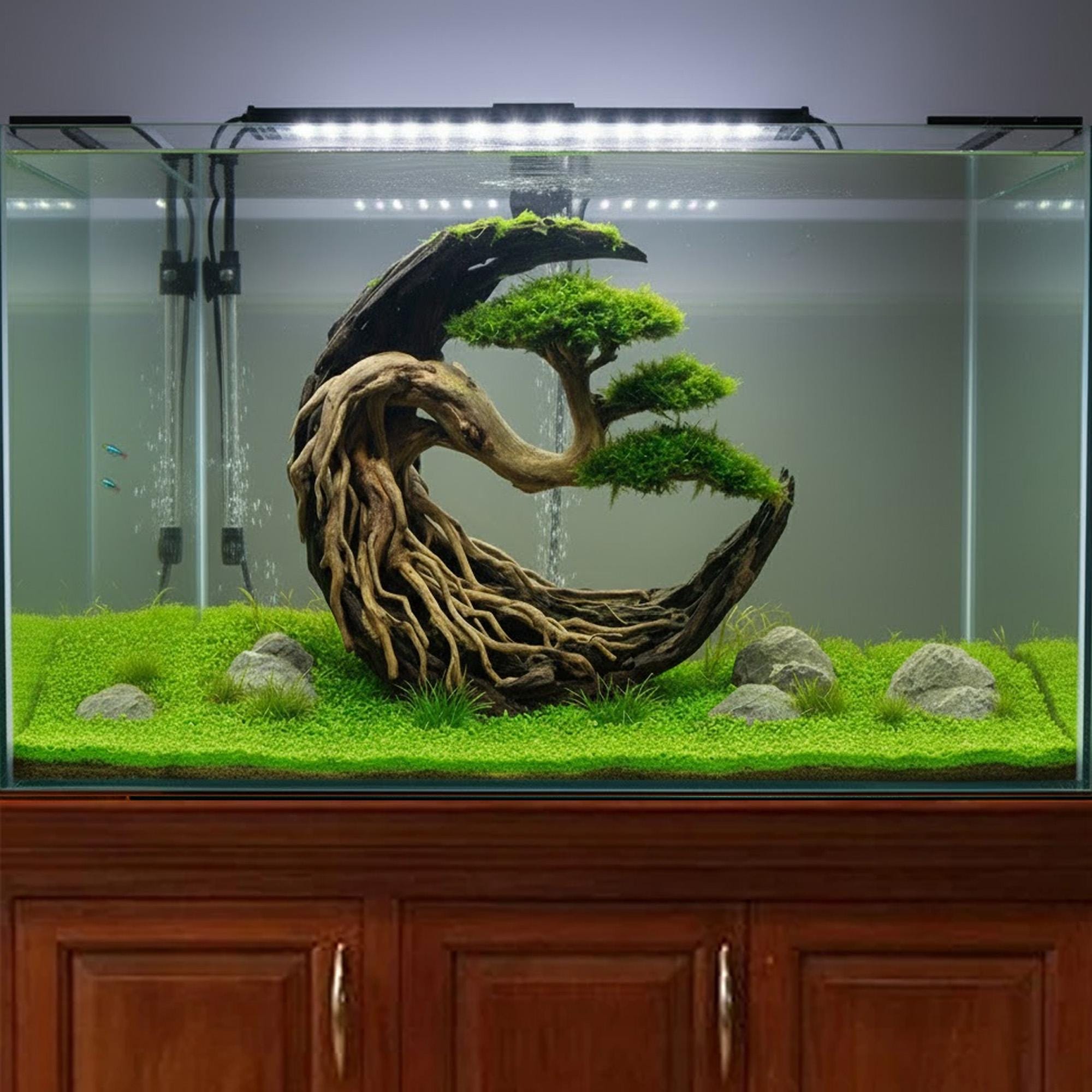 天然流木盆栽水景三日月水槽装飾手作り盆栽植物水槽装飾 - Etsy 日本