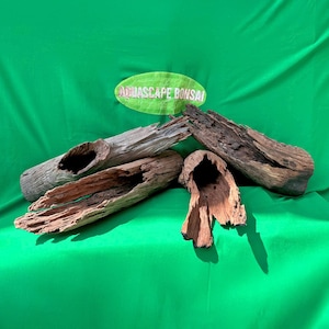 Natural hollow driftwood aquarium log aquascape hideout cave drift wood aquascape centerpiece aquascaping decoration