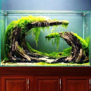 Aquarium driftwood aquascape cave hardscape aquascape drift wood fish tank decor betta fish