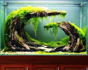 盆栽流木　アクアリウム　水槽 アクアスケープ 水槽 流木 切り株 木 盆栽 アクアスケープ 装飾