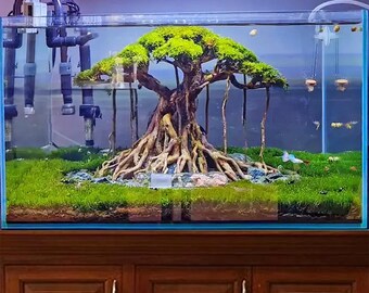 流木水槽盆栽木植物木製アクアスケープアクアスケープ盆栽流木水槽装飾