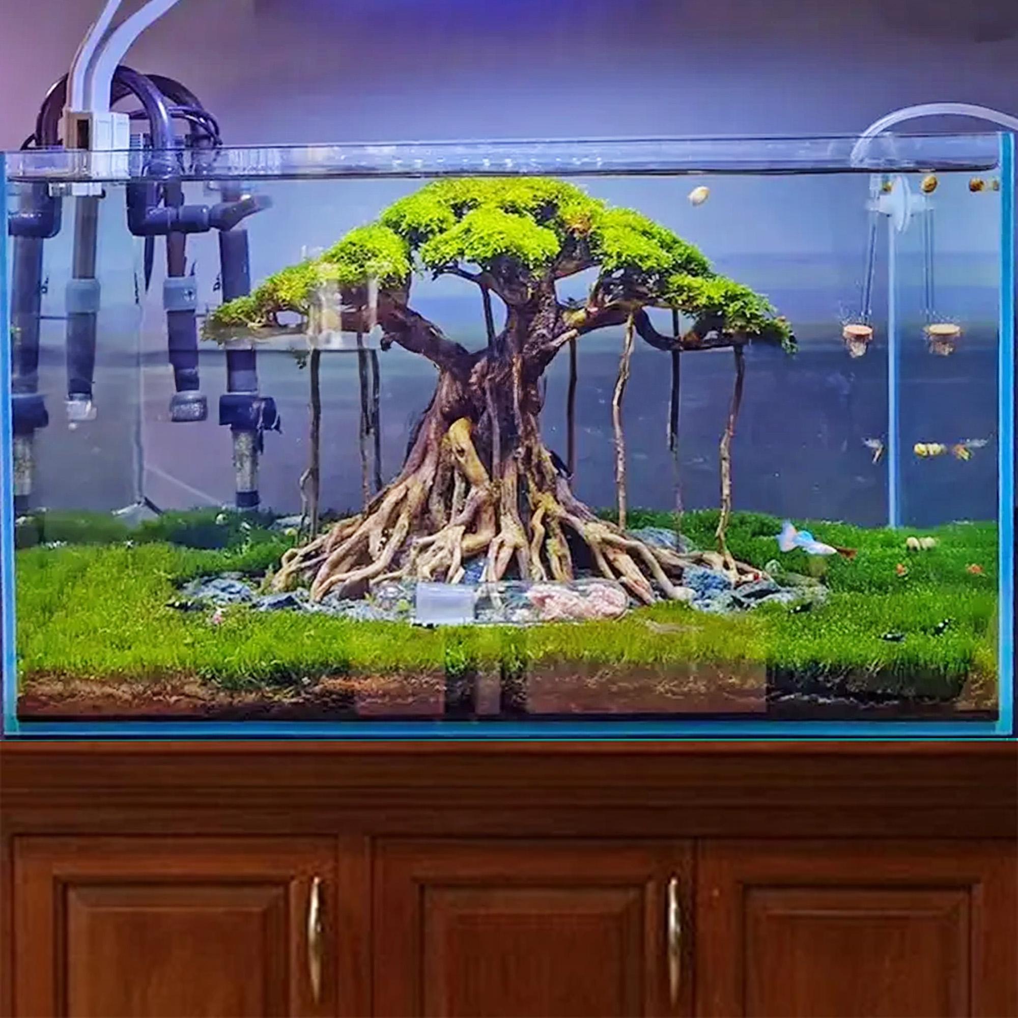 流木水槽盆栽木植物木製アクアスケープアクアスケープ盆栽流木水槽装飾
